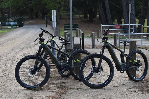 Fully Guided E-Mountain Bike Tour On The Beautiful Mornington Peninsula. - Coogee Beach Accommodation 2