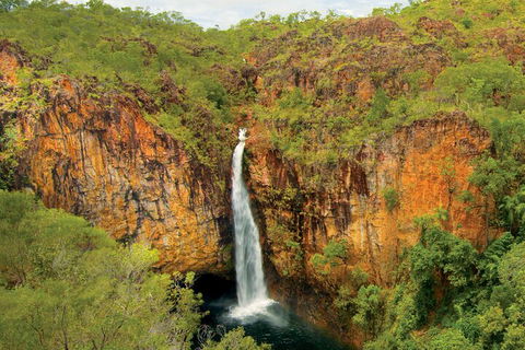7 Days Darwin, Kakadu National Park, Katherine Gorge Touring Package - Coogee Beach Accommodation 3