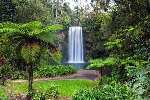 Cairns & Port Douglas All-Inclusive 7 Days Touring Package - Coogee Beach Accommodation 2