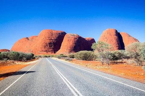 Alice Springs, Uluru Ayers Rock & Kings Canyon 8 Days Touring Package - Coogee Beach Accommodation 1
