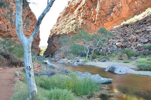 Alice Springs, Uluru Ayers Rock & Kings Canyon 8 Days Touring Package - Coogee Beach Accommodation 2
