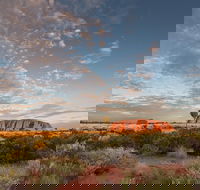 Uluru Kata Tjuta and Kings Canyon Camping Safari from Alice Springs - Coogee Beach Accommodation