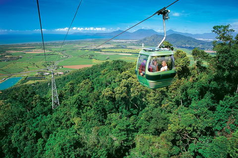 Skip The Line Kuranda Scenic Railway Gold Class And Skyrail Rainforest Cableway - Coogee Beach Accommodation 3