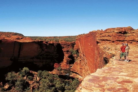The Amazing Kings Canyon: 4-Hours Walking Tour And Hike - Coogee Beach Accommodation 1