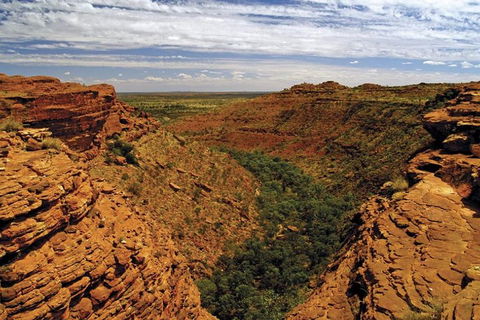 The Amazing Kings Canyon: 4-Hours Walking Tour And Hike - Coogee Beach Accommodation 3