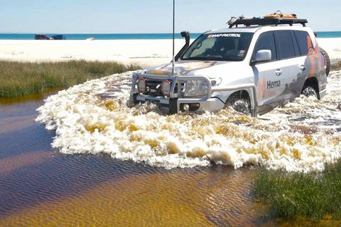 Full-Day Moreton Island 4x4 Sightseeing Tour - Coogee Beach Accommodation 0