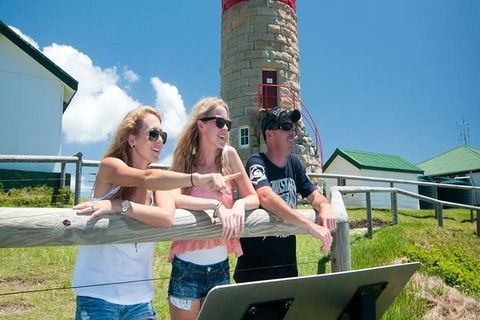 Full-Day Moreton Island 4x4 Sightseeing Tour - Coogee Beach Accommodation 3