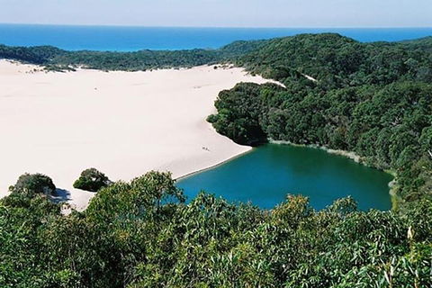 Full-Day Moreton Island 4x4 Sightseeing Tour - Coogee Beach Accommodation 5
