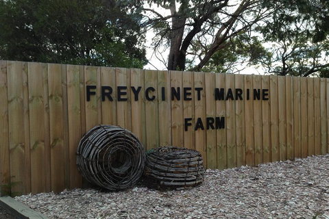 Active Day Tour One-Way From Launceston To Hobart Via Wineglass Bay - Coogee Beach Accommodation 3