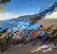 Port Arthur and Lavender Active Day Tour - Coogee Beach Accommodation