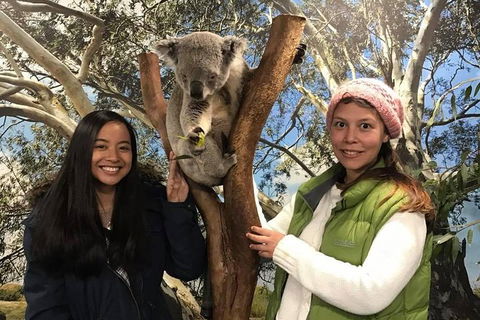 Australia Multi-City Attractions Pass - Coogee Beach Accommodation 3