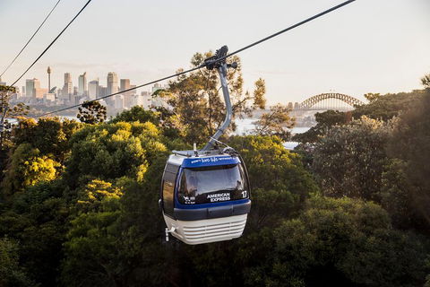 Australia Multi-City Attractions Pass - Coogee Beach Accommodation 5