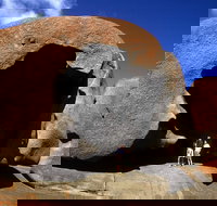 Full-Day Kangaroo Island Safari from Penneshaw - Coogee Beach Accommodation