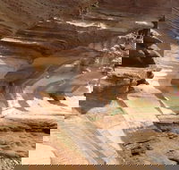 Hobart Minibus Full-Day Private Tour - Coogee Beach Accommodation