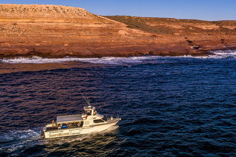 Kalbarri Sunset Coastal Cliff Cruise - Coogee Beach Accommodation 4