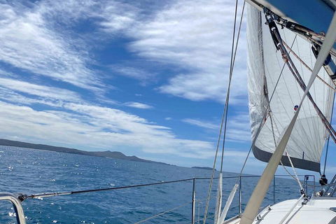Sailing Curlew Escape On Moreton Bay - Coogee Beach Accommodation 4