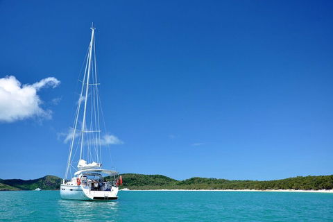 Sailing Curlew Escape On Moreton Bay - Coogee Beach Accommodation 5