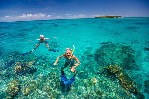 Green Island Discovery Including Glass Bottom Boat Tour Departing Cairns - Coogee Beach Accommodation 2