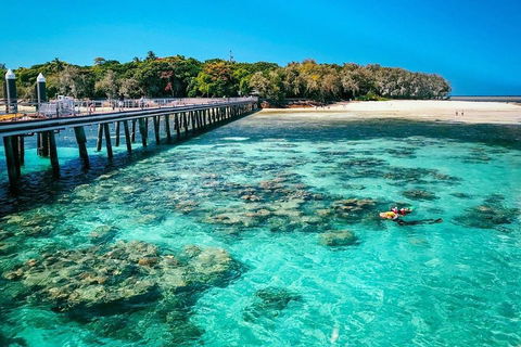 Green Island Discovery Including Glass Bottom Boat Tour Departing Cairns - Coogee Beach Accommodation 4