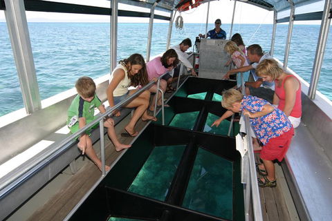 Green Island Discovery Including Glass Bottom Boat Tour Departing Cairns - Coogee Beach Accommodation 5