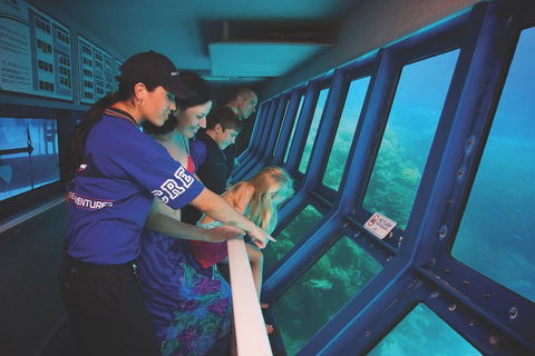 Great Barrier Reef Adventure From Cairns - Coogee Beach Accommodation 0