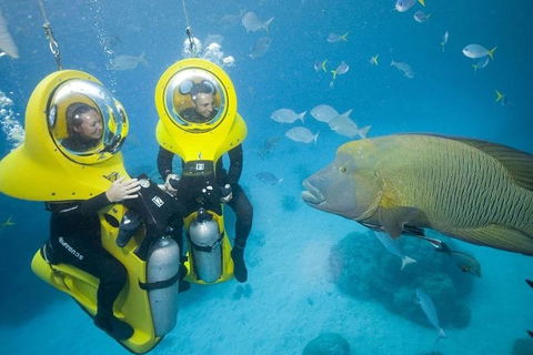 Great Barrier Reef Adventure From Cairns - Coogee Beach Accommodation 2