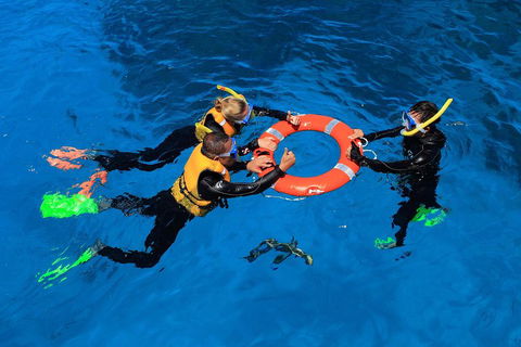 Great Barrier Reef Adventure From Cairns - Coogee Beach Accommodation 3