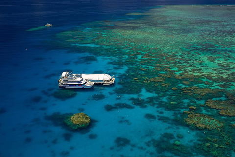 Great Barrier Reef Adventure From Cairns - Coogee Beach Accommodation 4