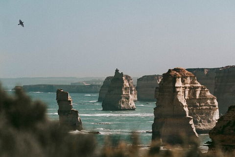 Half-Day Or Full-Day Tour With Private Guide From Melbourne - Coogee Beach Accommodation 0
