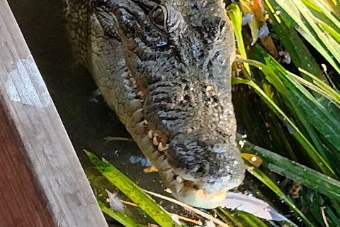 Litchfield Park Adventures And Jumping Crocodile Cruise + Butterfly Farm - Coogee Beach Accommodation 1