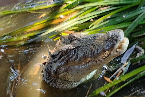 Litchfield Park Adventures And Jumping Crocodile Cruise + Butterfly Farm - Coogee Beach Accommodation 4