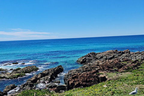 Private Custom Byron Bay Day Out - Coogee Beach Accommodation 4