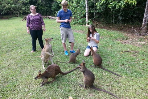 Small Group Blue Mountains Day Tour From Sydney - Coogee Beach Accommodation 2