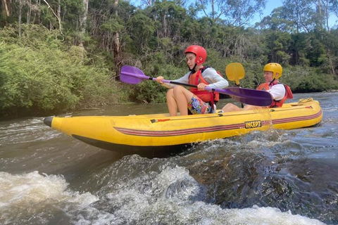 Yarra River Half-Day Rafting Experience - Coogee Beach Accommodation 1