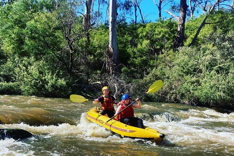 Yarra River Half-Day Rafting Experience - Coogee Beach Accommodation 2