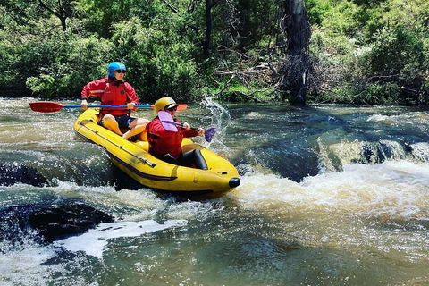 Yarra River Half-Day Rafting Experience - Coogee Beach Accommodation 4