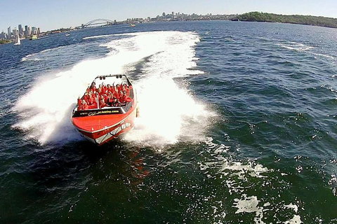 Sydney Harbour Jet Boat Thrill Ride: 30 Minutes - Coogee Beach Accommodation 0