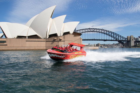 Sydney Harbour Jet Boat Thrill Ride: 30 Minutes - Coogee Beach Accommodation 4