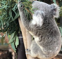 Private Blue Mountains and Wildlife Park Tour from Sydney with Barbecue Lunch - Coogee Beach Accommodation