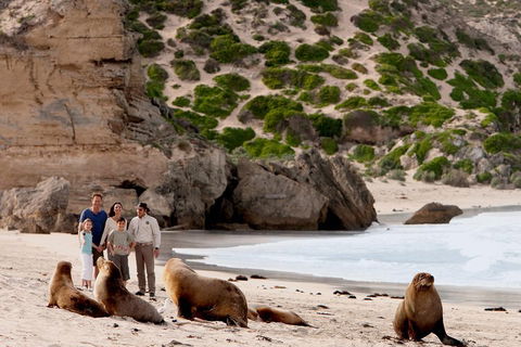 Kangaroo Island Scenic Trail Tour - Coogee Beach Accommodation 5
