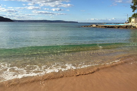 Small-Group Sydney's Northern Beaches And Ku-ring-gai National Park Bus Tour - Coogee Beach Accommodation 1
