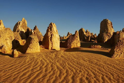 Full Day Pinnacle Desert Explorer From Perth Including Hillarys And Lancelin Sandboarding - Coogee Beach Accommodation 3