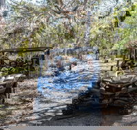 Small-Group Buggy Tour at Little Sahara with Guide - Coogee Beach Accommodation