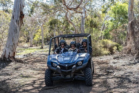 Small-Group Buggy Tour At Little Sahara With Guide - Coogee Beach Accommodation 0