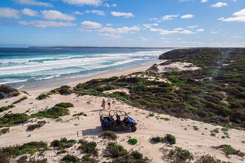 Small-Group Buggy Tour At Little Sahara With Guide - Coogee Beach Accommodation 1