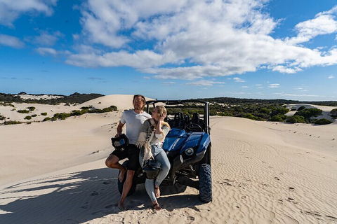 Small-Group Buggy Tour At Little Sahara With Guide - Coogee Beach Accommodation 2