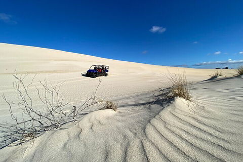 Small-Group Buggy Tour At Little Sahara With Guide - Coogee Beach Accommodation 3