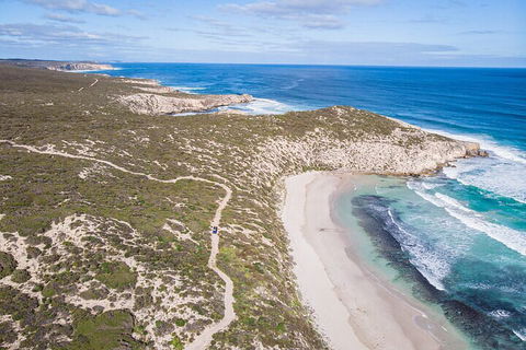 Small-Group Buggy Tour At Little Sahara With Guide - Coogee Beach Accommodation 4
