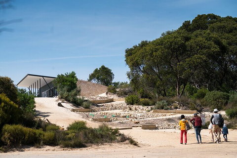 2-Hour Koala Walking Tour In Kangaroo Island - Coogee Beach Accommodation 3