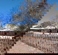 Private Cultural and Historical Painted Desert Tour in Hermannsburg - Coogee Beach Accommodation